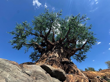 Tree of life from below